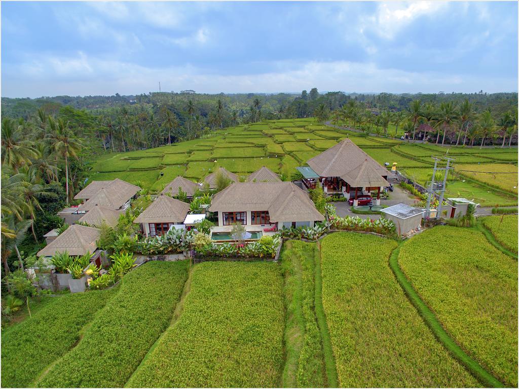 Anusara Luxury Villas (Adults Only) Ubud Buitenkant foto